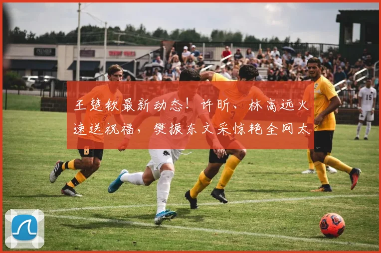 王楚钦最新动态!许昕、林高远火速送祝福,樊振东文采惊艳全网太暖心