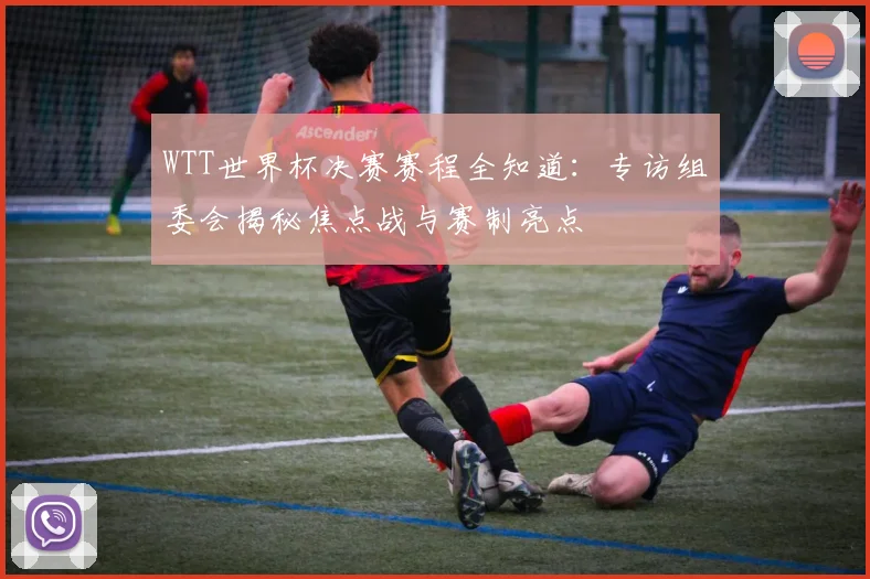 WTT世界杯决赛赛程全知道：专访组委会揭秘焦点战与赛制亮点