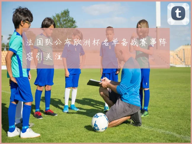 法国队公布欧洲杯名单备战赛事阵容引关注