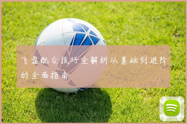 飞盘配合技巧全解析从基础到进阶的全面指南